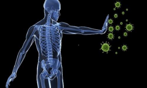 How The Immune System of The Body Works