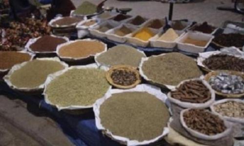 What is Traditional And Herbal Medicine