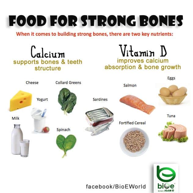 Foods That Build Strong And Healthy Bones Information Parlour